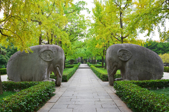 南京石象路