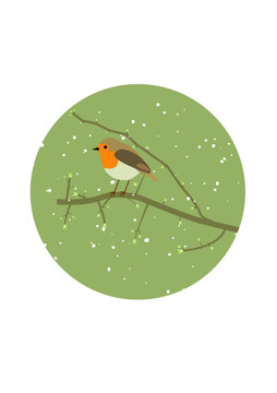 鸟插画雪景