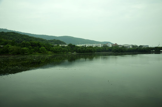 湖南大学桃子湖