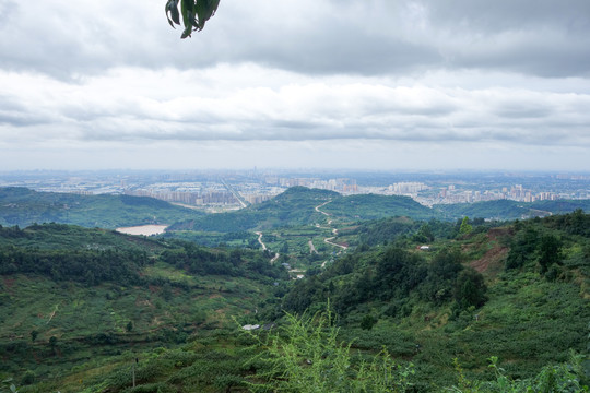 龙泉山