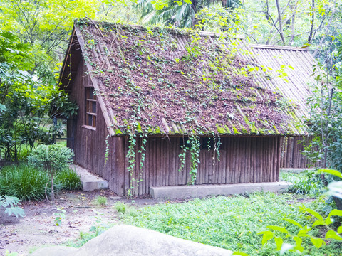 小木屋小草房