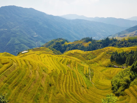 龙胜梯田