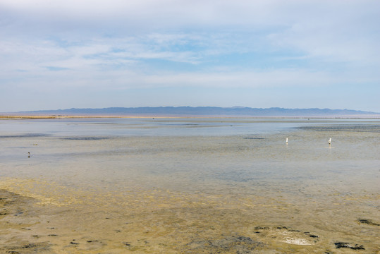 巴里坤湖