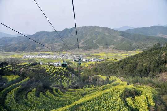 婺源江岭旅游