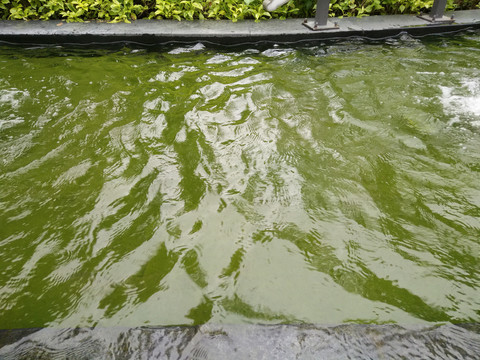 喷水池