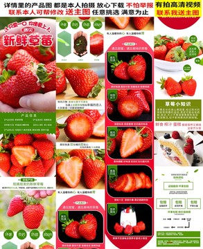草莓详情