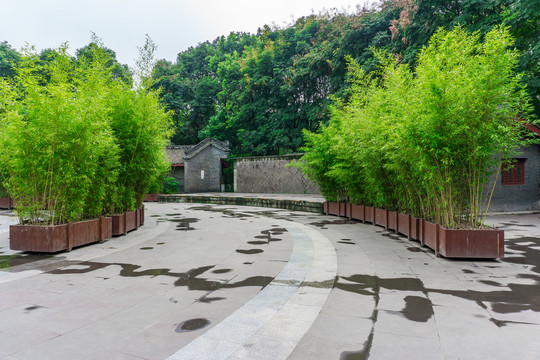 竹林小路