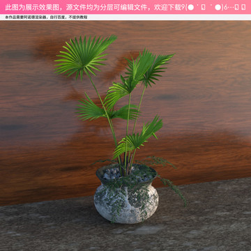 C4D盆栽模型