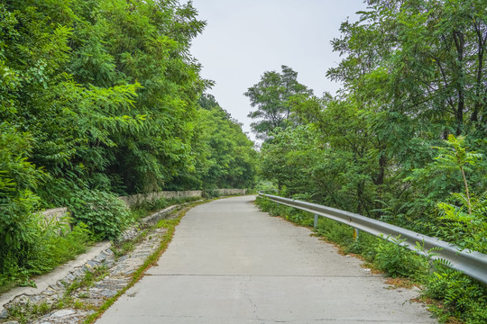 森林防火公路