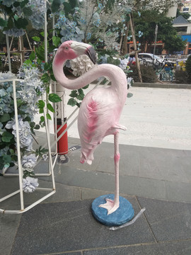 火烈鸟