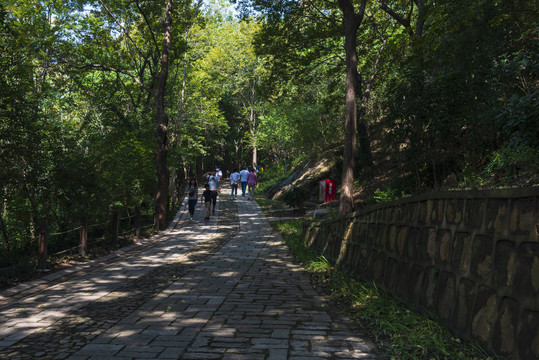 山道