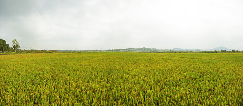 田园风光