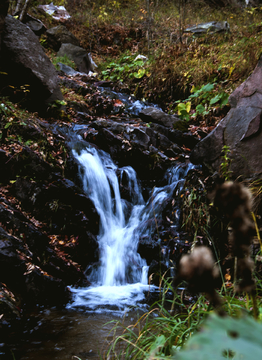 山泉