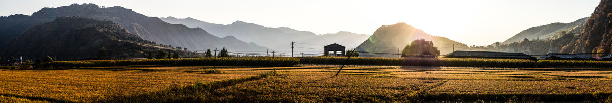 山谷稻田