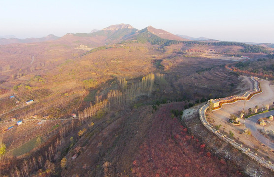 青州九龙峪硅化木地质公园