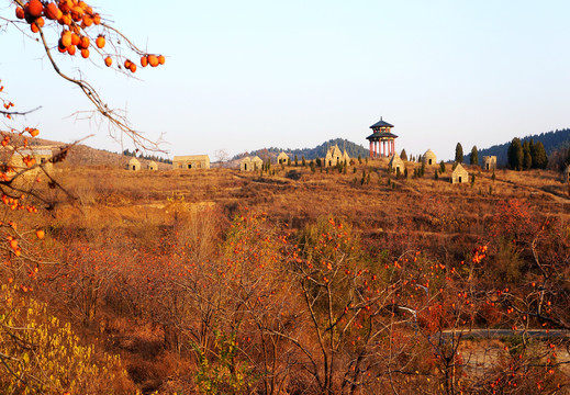 青州九龙峪硅化木地质公园