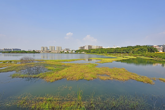 深圳立新湖