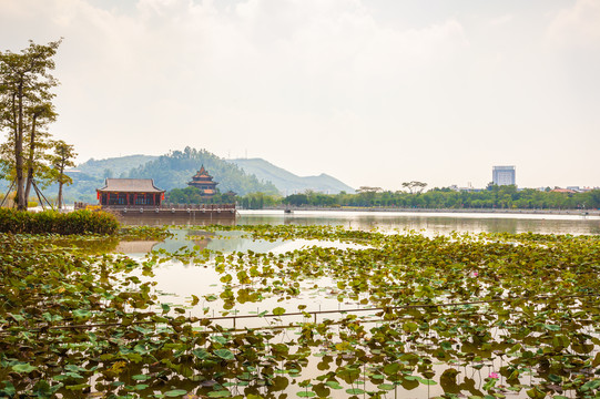 顺峰山公园青云湖