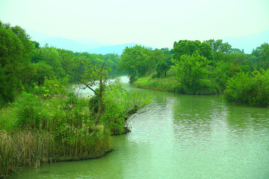 杭州西溪湿地