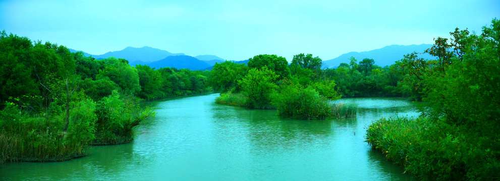 杭州西溪湿地