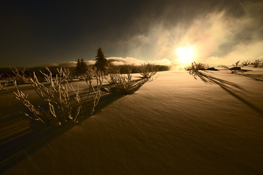 雪