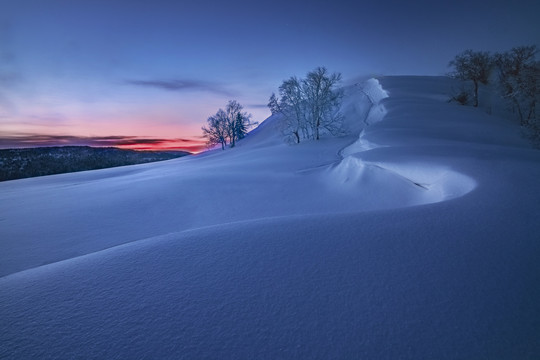 雪