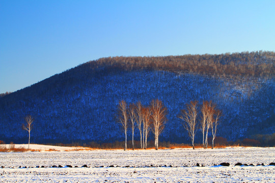 山林雪景