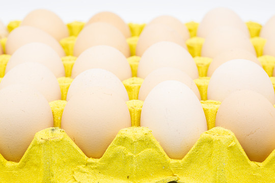 一板鸡蛋