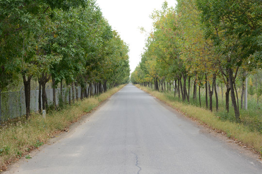 乡村公路