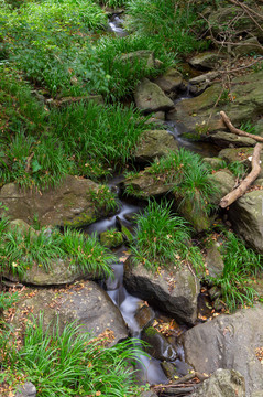 武汉木兰天池风景区初秋风光