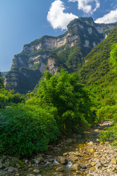 宜昌三峡竹海风景区夏日风光