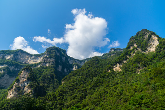 宜昌三峡竹海风景区夏日风光