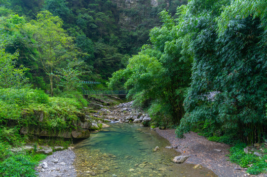 宜昌三峡竹海风景区夏日风光