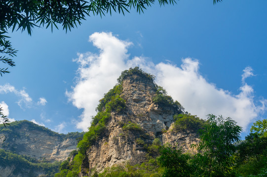 宜昌三峡竹海风景区夏日风光