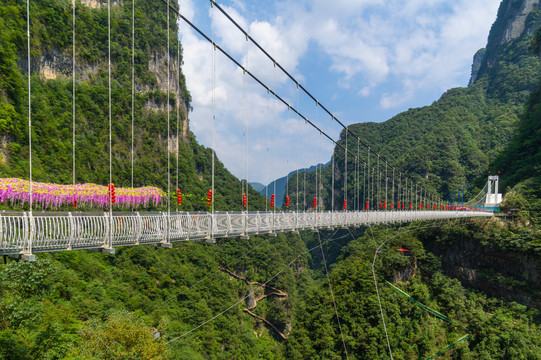 宜昌三峡竹海风景区夏日风光