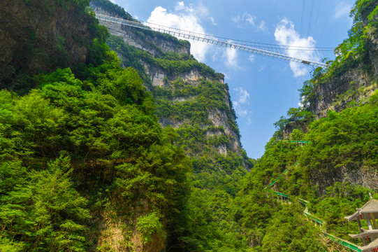 宜昌三峡竹海风景区夏日风光