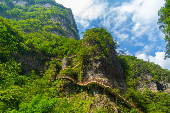宜昌三峡竹海风景区夏日风光
