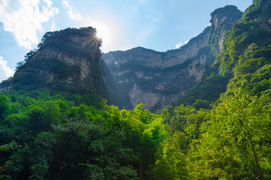 宜昌三峡竹海风景区夏日风光