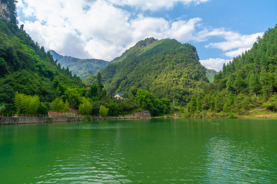 宜昌三峡竹海夏日迷人风光