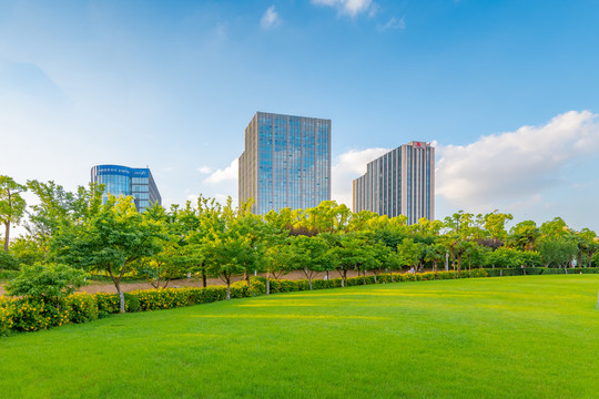 城市绿地沙滩