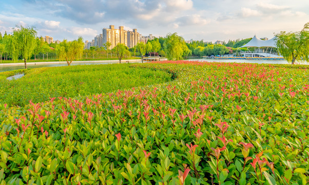 城市花园