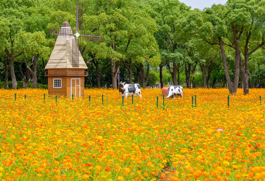 奶牛风车花园