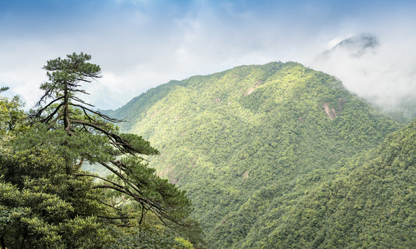 三清山风光