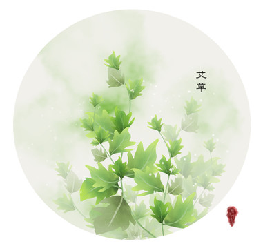 艾草