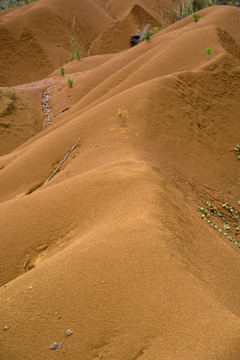 黄土