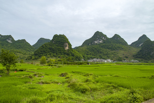 风景