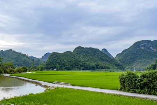 风景