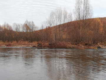 深秋的河