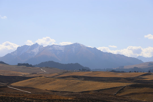 江布拉克美丽风景