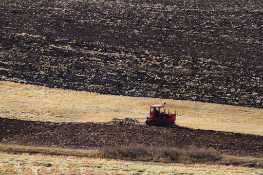天山麦田中耕作的拖拉机